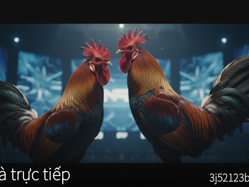 Cập nhật lịch thi đấu đá gà trực tiếp mới nhất năm 2026 tại các bồ gà lớn